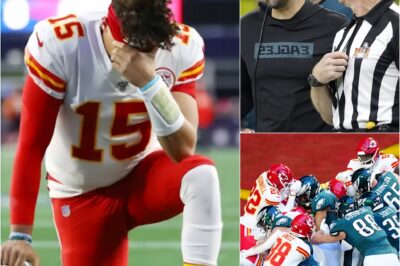 The NFL suddenly fired 4 referees who officiated the game between the Kansas City Chiefs and the Philadelphia Eagles for being involved in the largest bribery scandal in NFL history