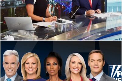 Fox News has once again dominated the ratings, leaving competitors M/S/N/B/C and C/N/N in their wake. In reality, 2022 was the third-highest-rated year in cable news history