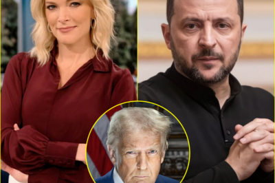 Explosive Clash at the White House: Megyn Kelly Rips Zelensky’s ‘Dumb Diplomacy’ — Internet Fires Back!
