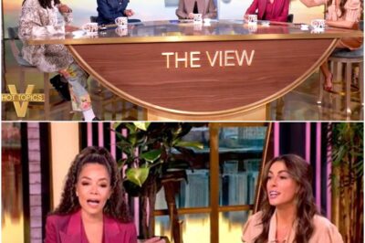 Explosive Chaos Erupts Live on ‘The View’ as Co-Hosts Clash With Alyssa Farah Griffin Over Repeated Interruptions—One Host Snaps in Fiery On-Air Moment: ‘Can I Finish Talking?’ While Shocked Viewers Flood Social Media With Outrage, Theories, and Memes About the Heated Exchange That No One Saw Coming!