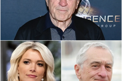Media Firestorm Erupts as Megyn Kelly Publicly Slams Robert De Niro on Live TV, Calling Him ‘Extremely Stupid’—Insiders Reveal Explosive Backstage Drama, Political Tensions, and What Really Sparked the On-Air Feud