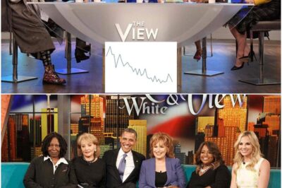 TV Disaster? “The View!” Hits Rock Bottom with Record-Low Ratings—Fans Abandon the Show in Droves, and the Shocking Reasons Behind Its Historic Decline Are Finally Exposed!