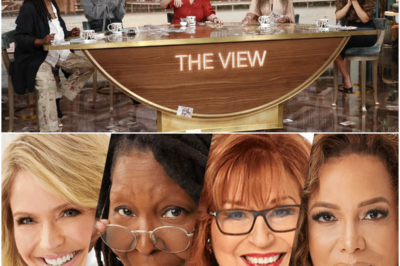 Television Industry in Shock as Iconic Daytime Talk Show ‘The View’ Is Officially Canceled After Decades—Insiders Reveal Behind-the-Scenes Drama, Ratings Collapse, and Controversial Moments That Led to Its Sudden Demise