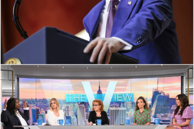Tension Erupts as Whoopi Goldberg Completely Loses It Live on ‘The View’—What the Guest Said Was So Outrageous, Producers Almost Pulled the Plug Before Viewers Witnessed the Shocking Aftermath!