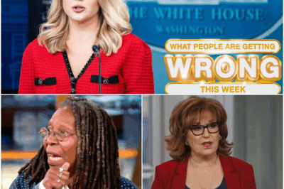 Karoline Leavitt Calls for Live Boycott of ‘The View’—A Viral TV Moment That Shook America