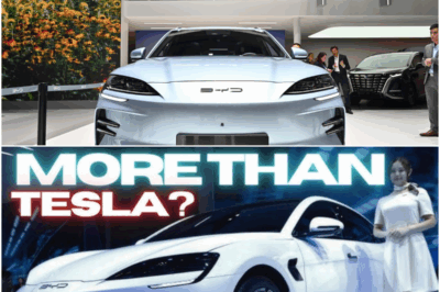 BYD Accused of Faking Profitability as Financial Warning Signs Mount in China’s EV Market
