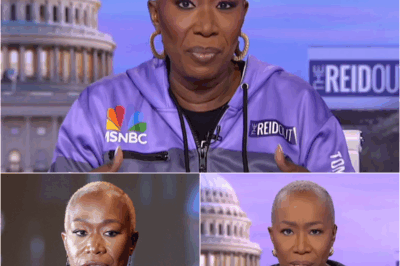 Joy Reid Suggests MSNBC Fired Her Over Trump and Gaza Coverage, Not Ratings