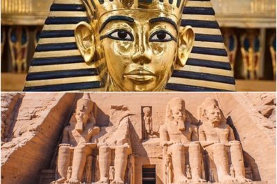 Scientists Discover Ancient Fungus Once Linked to ‘Pharaoh’s Curse’ May Cure Leukemia