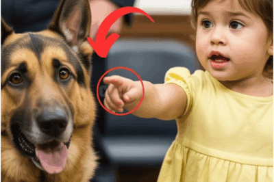 How a 3-Year-Old Girl and Her Police Dog Brought Down a Foster Abuser in Court