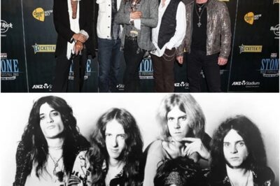 Aerosmith Legends Steven Tyler and Joe Perry Reunite at Florida Market After Touring Retirement
