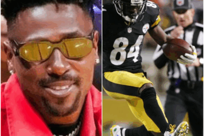 Super Bowl Protester Tied to Antonio Brown Shooting Identified, Arrested After Halftime Stunt