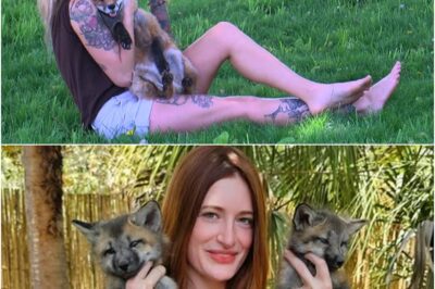 YouTube Star Mikayla Raines, Founder of Save A Fox, Dies by Suicide at 29