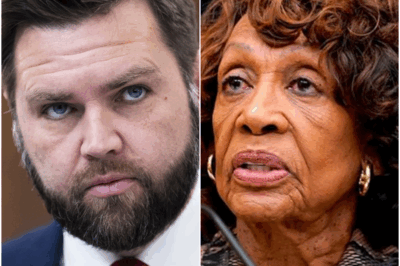 Maxine Waters Calls JD Vance a “Thug” On Live TV — His Calm Response Stuns Nation