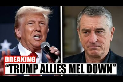 Robert De Niro Confronts Trump Supporter in Fiery Sidewalk Showdown in New York