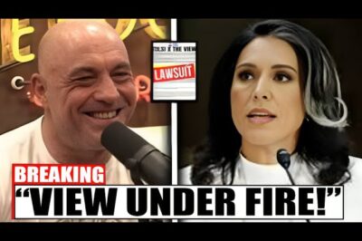 Joe Rogan Rips The View as Tulsi Gabbard Launches $50M Defamation Lawsuit