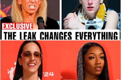 The Unseen Leverage: How Leaked All-Star Data Ignited a WNBA Showdown Over Player Compensation