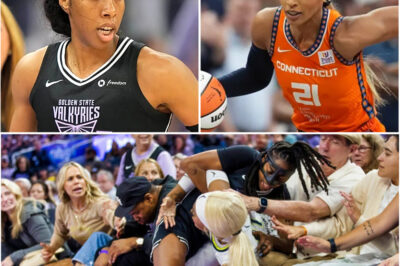 “Sacrificed, Not Fouled”: WNBA Officiating Under Fire After Viral Collision Sparks Outrage and Calls for Urgent Reform