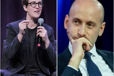 Rachel Maddow Exposes Stephen Miller Live on Air—Then an Ally Drops a Bombshell