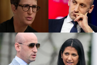 Live Showdown Turns Nuclear: Rachel Maddow Torches Stephen Miller Over Wife’s Foreign Lobbying Scandal