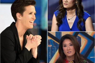 Katie Phang Turns MSNBC Firing Into YouTube Triumph—with Rachel Maddow’s Backing