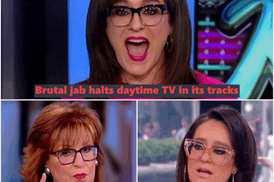 Kennedy’s Explosive On-Air Insult Leaves Daytime TV Shaken—and Viewers Speechless