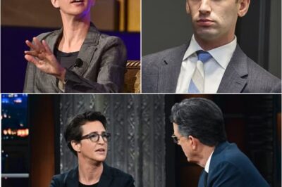 Rachel Maddow Cornered Stephen Miller With Cold Hard Facts—And America Watched Him Crumble