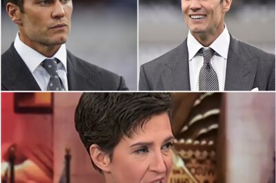 “YOU CALL THIS JOURNALISM?” – Retired NFL Star Tries to Roast Rachel Maddow on Live TV… Her Comeback Leaves Him Stunned and Speechless