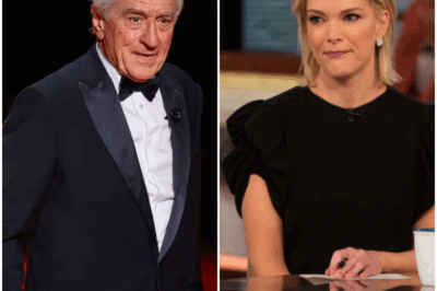 Robert De Niro Ends Megyn Kelly Interview with Eight Words That Left the Room Frozen