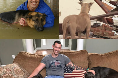 Fox News’ Johnny Joey Jones Rescues 20 Pets from Texas Floods Using His Prosthetic Legs