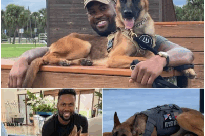 How a Decorated Dog Changed Lawrence Jones’ Life—and Captured America’s Heart