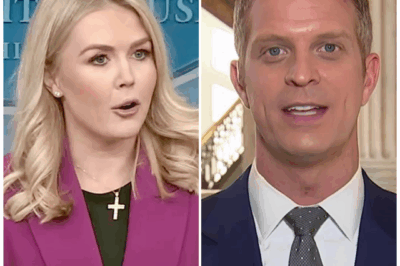One Calm Sentence from a Reporter Left the White House Press Secretary Speechless on Live TV