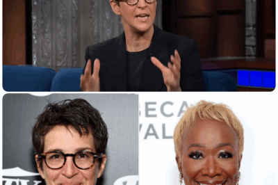 The Coup at 30 Rock: Inside Reid and Maddow’s 20-Year Plot to Seize Control of MSNBC