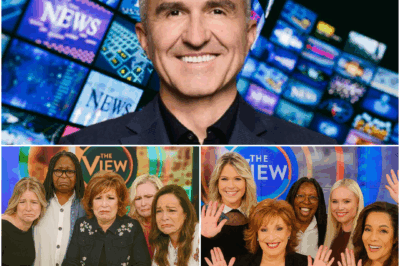 ABC Abruptly Cancels The View After 20 Years—What Went So Wrong?