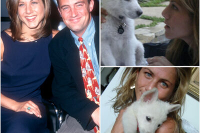 Jennifer Aniston Adopts Rescue Puppy Named ‘Mat’ in Heartfelt Tribute to Matthew Perry