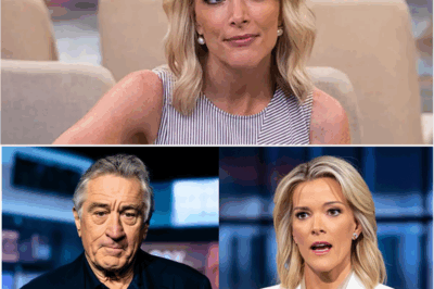 Robert De Niro Silences Megyn Kelly with Eight Words That Changed the Interview Game