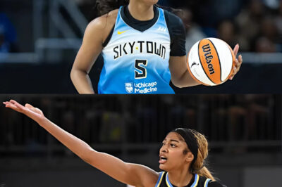 WNBA’s Whirlwind Week: Star Absences, Injury Reporting Concerns, and Playoff Scrambles Define a Season of Unpredictability
