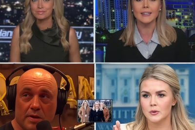 Joe Rogan Torches ‘The View’ After Karoline Leavitt’s $800M Lawsuit Shakes Daytime TV