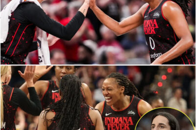 The No-Name Fever: How Indiana’s Shocking Beatdown of Chicago Revealed the Soul of a Champion