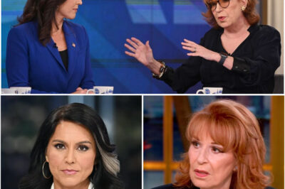 The Takedown: How Tulsi Gabbard Dismantled Joy Behar in a Fiery On-Air Clash That Rocked ‘The View’