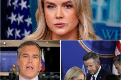 The Satirical Gauntlet and the Ashen Faces: Karoline Leavitt in the Midst of a Media Storm