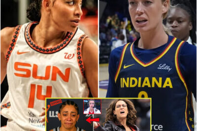 The Dangerous Illusion: How a Lawsuit Against Bria Hartley Exposes the WNBA’s Reckless Pursuit of Toughness