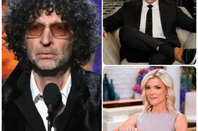 An Icon’s Fall: The On-Air Critique That Defined Howard Stern’s Modern Legacy