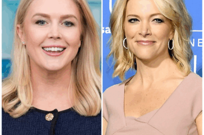 A Single On-Air Remark Cost “The View” a Fortune and Its Reputation — Now, the Show Is Silent