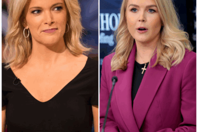 The On-Air Ambush That Led to the Humiliating Downfall of “The View”