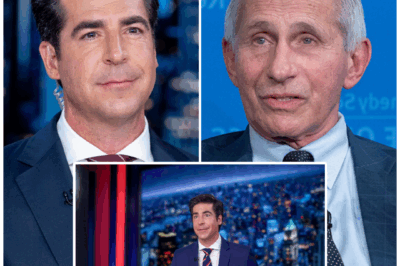Behind the Screens: The Secretive Multi-Billion Dollar Plan to Topple TV’s Titans