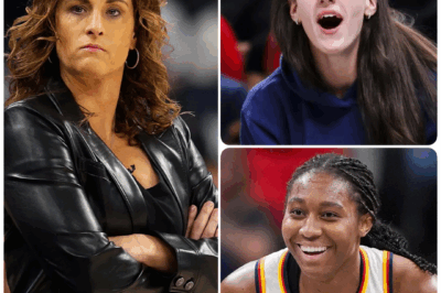 An Offhand Comment Revealed a Potentially Critical Flaw in a WNBA Franchise