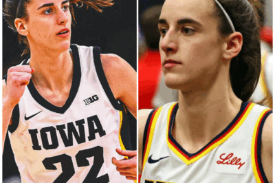 After the Hype: A Shocking Update Reveals the WNBA May Be Facing Its Worst Nightmare