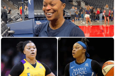 With Their Season on the Brink, the Indiana Fever Made a Desperate Call—And Veteran Odyssey Sims Answered