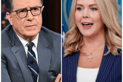 The Unscripted Silence: How a Chilling On-Air Rebuke Halted a Late-Night Legend