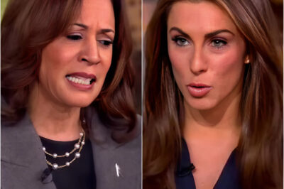 The Moment That Broke the Democratic Party: ‘The View’ Pinpoints Disastrous Harris Interview as Microcosm of Everything That Went Wrong